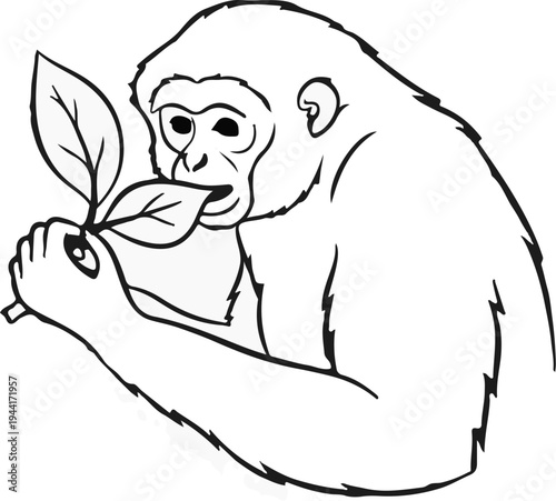 A simple line drawing of a primate holding and eating leaves