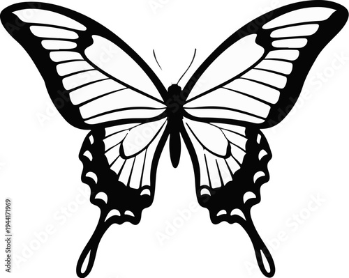 Black and white illustration of a butterfly with intricate wing patterns