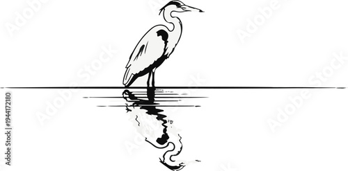 A monochrome illustration of a heron standing in calm water with its reflection