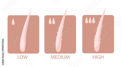 Vector illustration showing types of hair porosity for hair care.