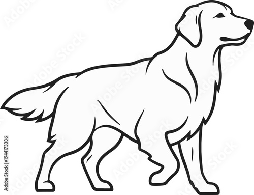 Stylized outline of a golden retriever dog walking gracefully