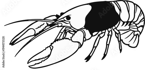 Stylized black and white illustration of a crayfish, emphasizing claws and segmented tail