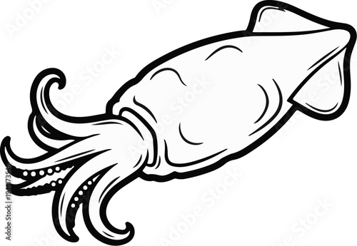 Stylized outline of a marine cephalopod with ten appendages