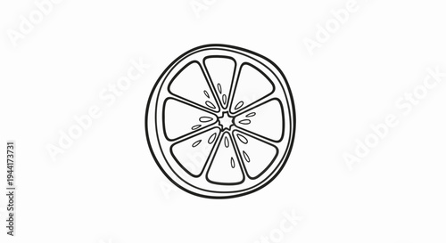 Simple outline drawing of a citrus fruit slice with seeds