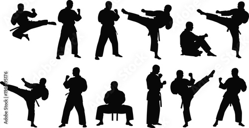 Silhouetted martial artists performing high kicks, fighting stances, and seated poses, martial arts training illustration concept for combat sports, discipline, fitness, and self defense