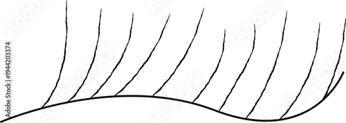 A black and white line art illustration of wavy lines and curves