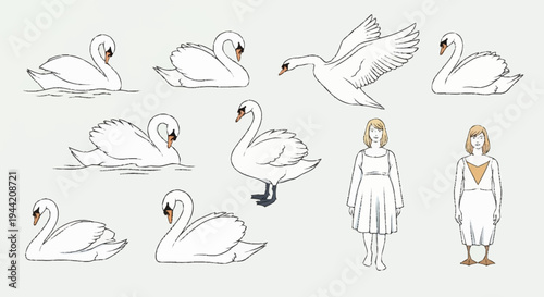 Collection of Swan Illustrations and Two Girls.