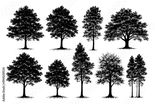 Variety of tree silhouettes showcasing diverse shapes and sizes.