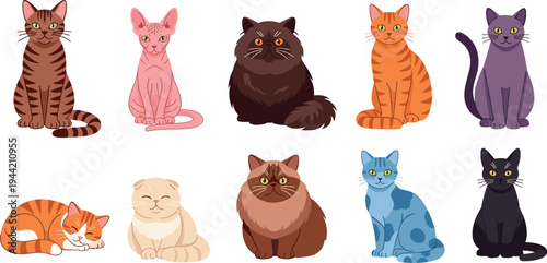 Cute Cartoon Cat Breeds Vector Set with Different Sitting and Lying Kitty Characters Domestic Pet Illustration Collection