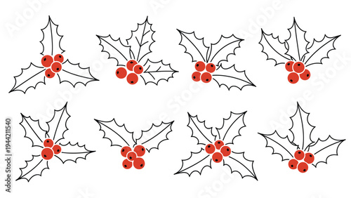 Assortment of eight different holly sprigs with red berries and black outline green leaves on white background for diy.