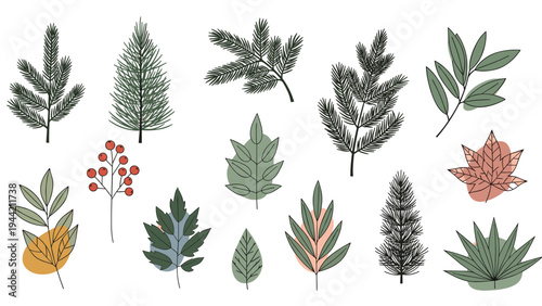 Assortment of forest botanical elements including evergreen branches, red berries, and maple leaves with soft colorful background shapes.