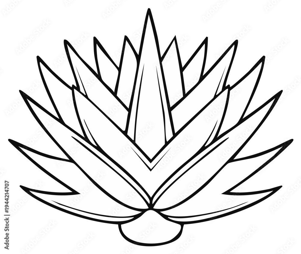Obraz premium Stylized Agave Plant Outline Vector Illustration Desert Flora Design Element
