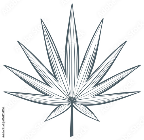 Elegant hand-drawn tropical fan palm leaf icon with a minimalist engraved line art style
