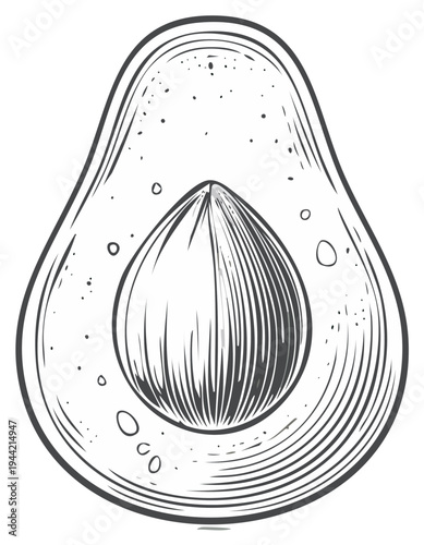 Detailed black and white illustration of a cut avocado half with a seed.