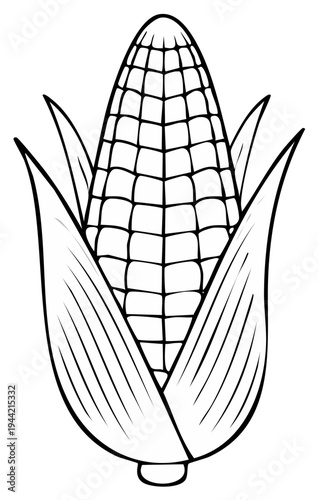 Line art drawing of corn cob with husk, simple vector illustration of an ear of corn