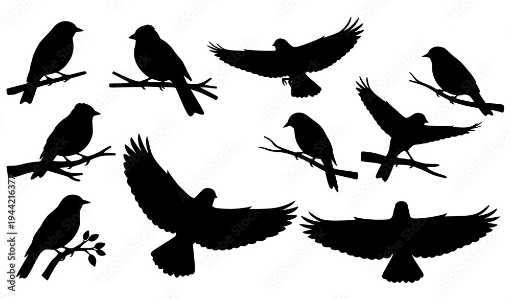 Fototapeta premium Birds on branch silhouette vector set
