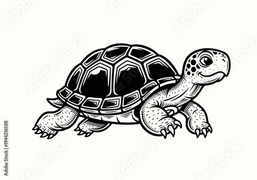 Cute Cartoon Turtle Illustration Black and White.