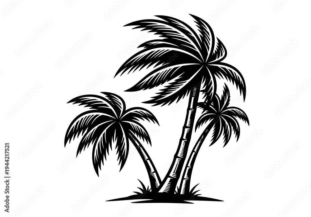 Fototapeta premium Stylized Black and White Illustration of Three Palm Trees.