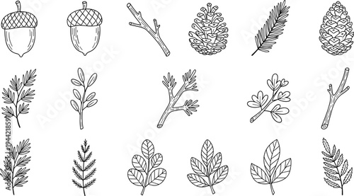 Hand-drawn collection of forest elements including acorns, pinecones, branches, and leaves