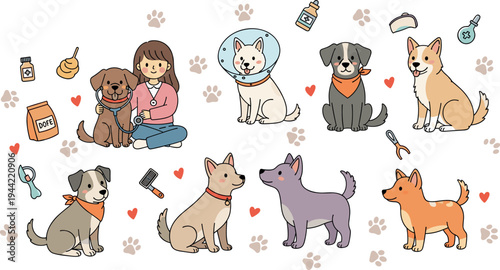 Cute Girl with Dogs Vector Set Showing Pet Care, Feeding, Training and Adorable Puppy Characters Cartoon Illustration