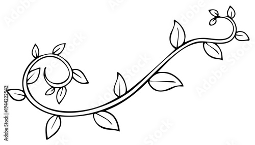 Elegant line drawing of a vine with leaves in a swirling pattern.