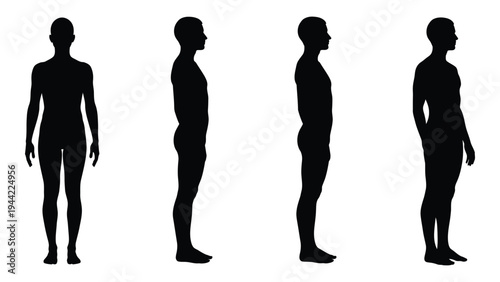 Human silhouettes in various body types and postures for reference and study