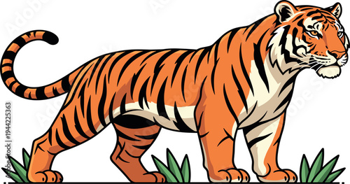 PrintRealistic Tiger Walking Vector Illustration with Detailed Stripes Powerful Wild Big Cat Isolated Wildlife Animal Design