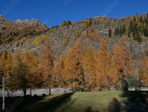 Autumn in the Alps. Chardonney, a hamlet of Champorcher, Aosta Valley, Alps, Italy.