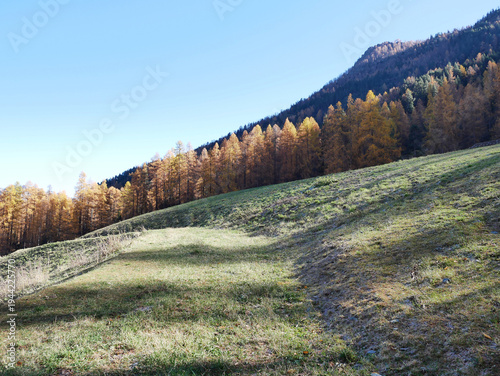 Autumn in the Alps. Chardonney, a hamlet of Champorcher, Aosta Valley, Alps, Italy.