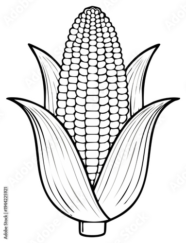 Detailed black and white illustration of an ear of corn with husk, a simple image for coloring books and educational materials.