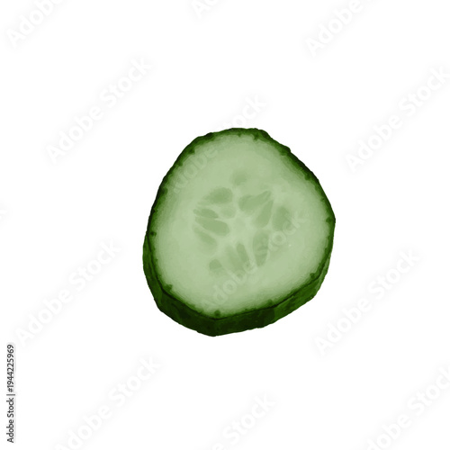 Close up cucumber slice isolated on white background showing fresh green texture.