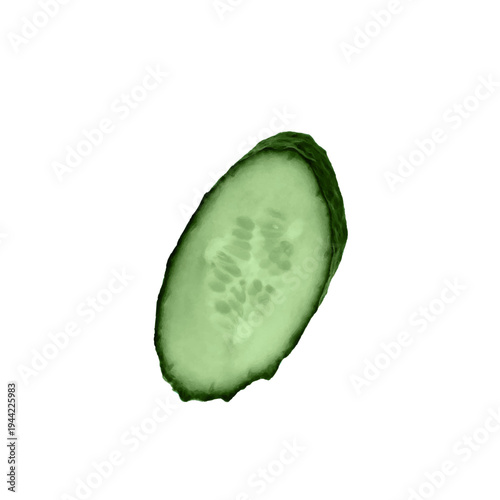 Angled cucumber slice isolated on white background showing fresh natural texture.