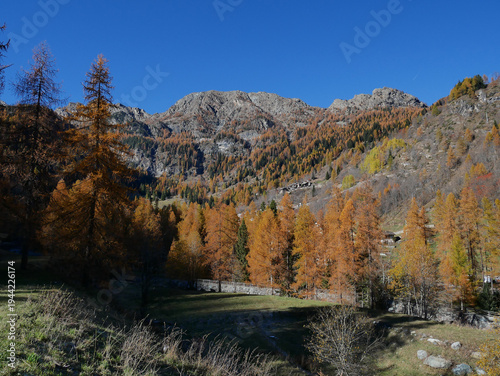 Autumn in the Alps. Chardonney, a hamlet of Champorcher, Aosta Valley, Alps, Italy.