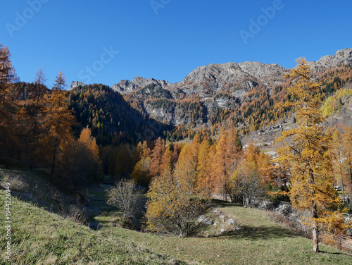 Autumn in the Alps. Chardonney, a hamlet of Champorcher, Aosta Valley, Alps, Italy.