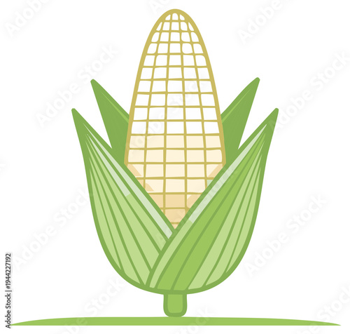 Cartoon corn on the cob with green leaves illustration vector image