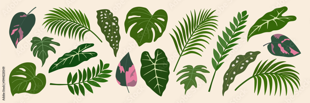 Fototapeta premium Set of green tropical leaves. Foliage of exotic plants., alocasia, palm, philodendron, monstera. Botanical design elements. Hand drawn vector illustration isolated on light background, flat style.