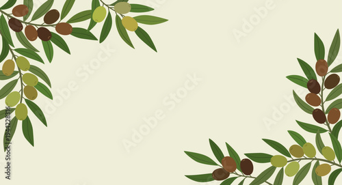 Decorative olive branch frame with black and green olives and leaves. Hand drawn vector illustration isolated on light background, flat cartoon style.
