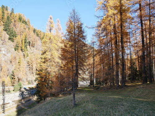 Autumn in the Alps. Chardonney, a hamlet of Champorcher, Aosta Valley, Alps, Italy.