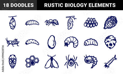 Entomology and insect life cycle elements in a naive marker sketch style. Rustic hand-drawn biology doodles for educational branding and organic design.