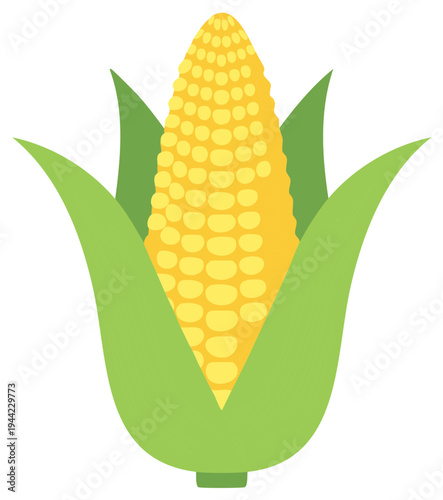 Bright yellow ear of corn with green husks harvest agricultural plant food illustration