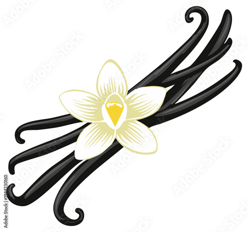 Elegant Vanilla Bean Arrangement with Creamy White Flower Blossom for Culinary Use