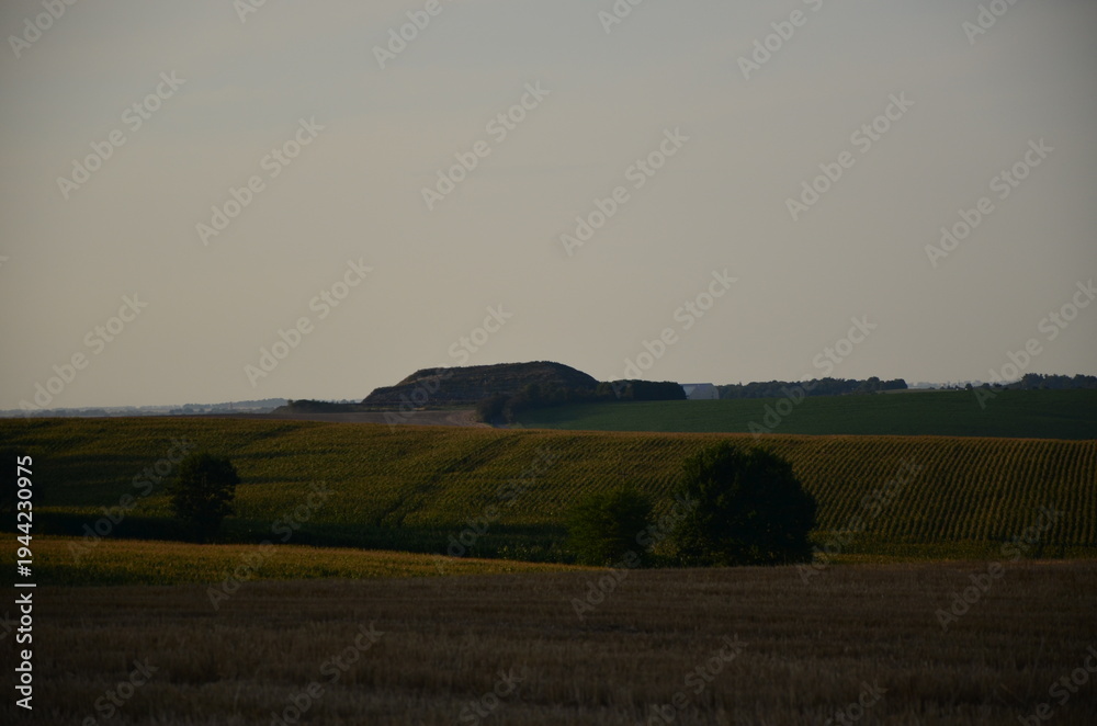 Obraz premium Plowed field in autumn in the Czech Republic, showcasing freshly turned soil under a calm rural landscape.