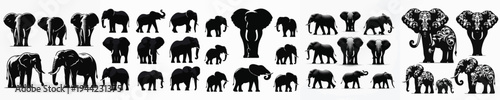 Vector set image silhouette of elephant
