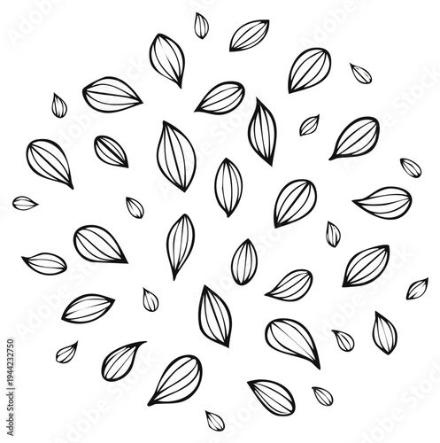 Black and white hand drawn almond seed illustration