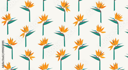 Orange flower blossoms in rows.