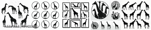 Vector set image silhouette of giraffe