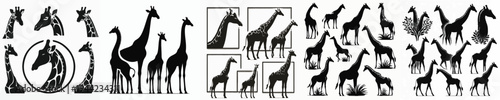 Vector set image silhouette of giraffe