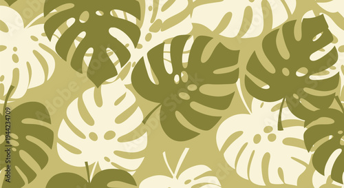 Monstera leaves pattern tropical green.