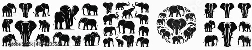 Vector set image silhouette of elephant