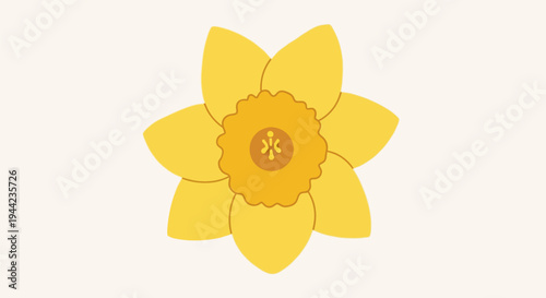 Closeup of a yellow daffodil flower.